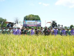 Kapolres Maros Hadiri Panen Raya Padi Yang Digelar Kogabwilhan II Mabes TNI
