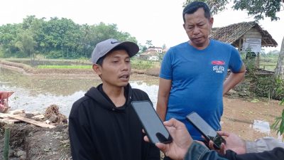 Kelompok P3A Sauyunan Desa Cintaraja Dapat Bantuan Dari BBWS, 26 Hektar Sawah Tidak Kekurangan Air